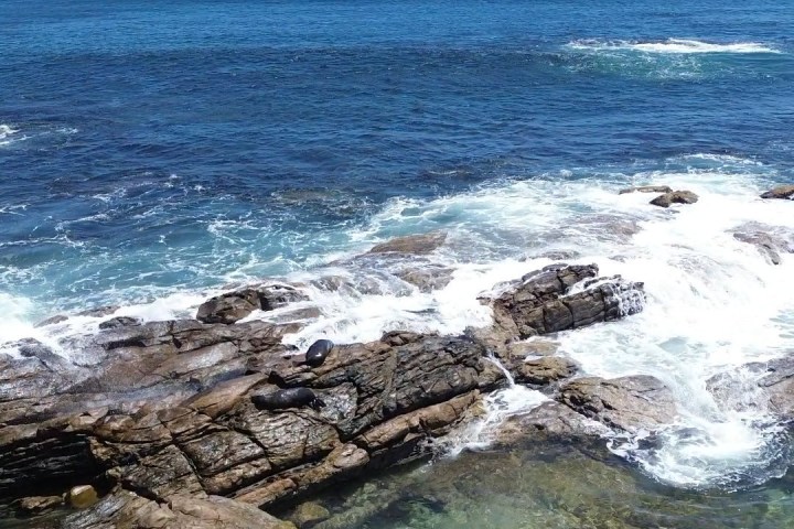 a rocky beach next to the ocean
