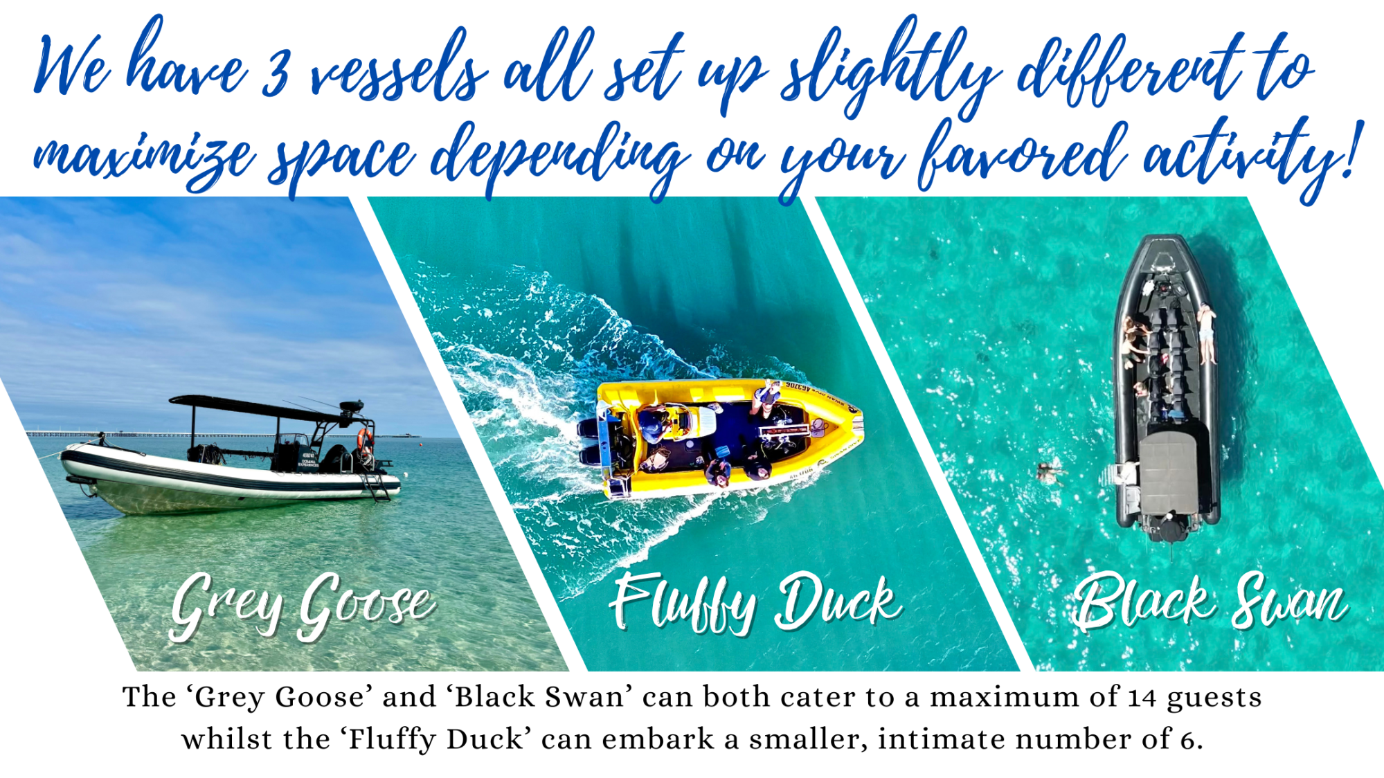 graphical user interface, website