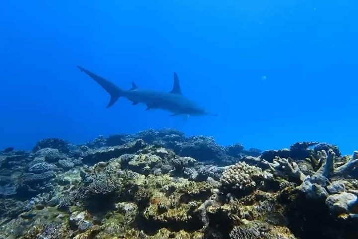 underwater view of a large rock