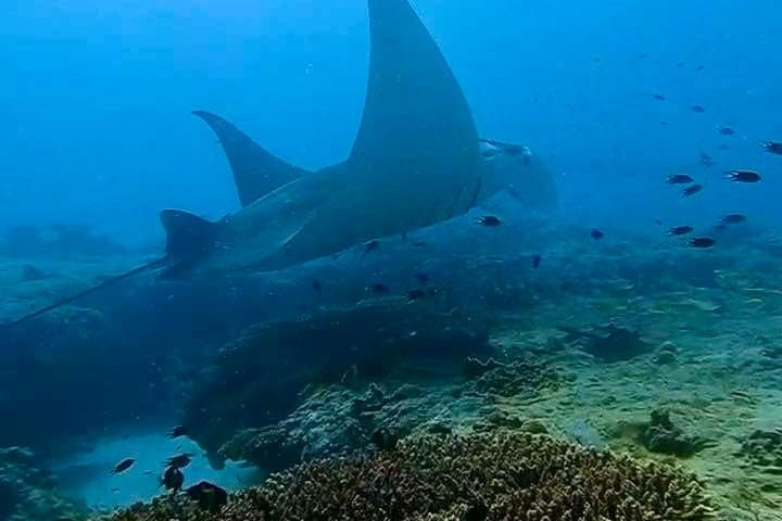 underwater view of the water