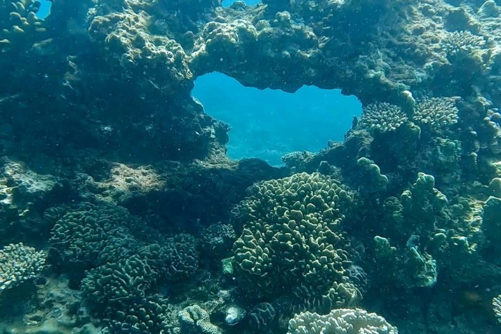 underwater view of a large rock