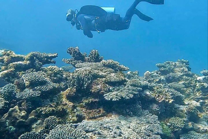 underwater view of the earth from space
